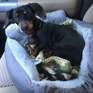 Meet your Posher, Don